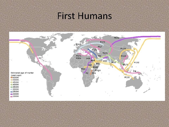 First Humans First Humans