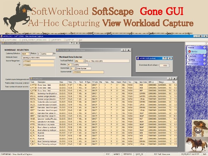 Soft. Workload Soft. Scape Gone GUI Ad-Hoc Capturing View Workload Capture 