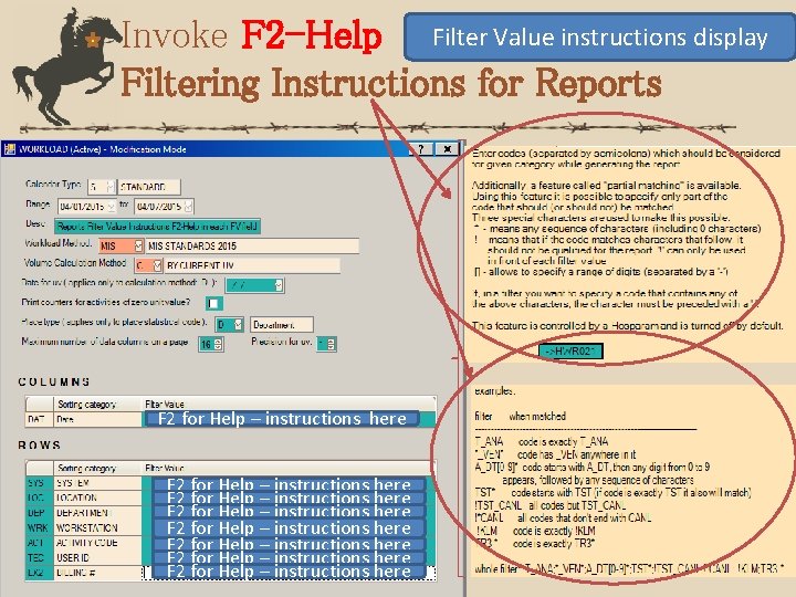 Invoke F 2 -Help Filter Value instructions display Filtering Instructions for Reports F 2