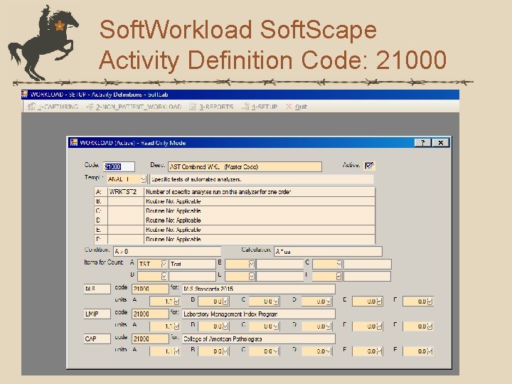 Soft. Workload Soft. Scape Activity Definition Code: 21000 