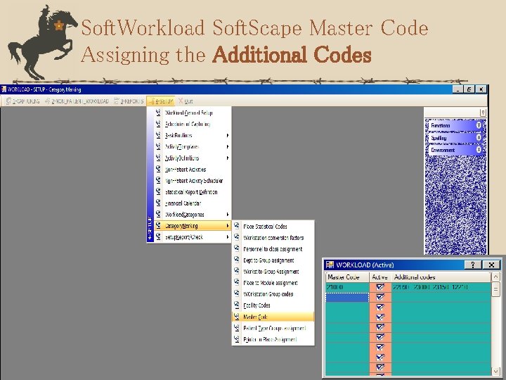 Soft. Workload Soft. Scape Master Code Assigning the Additional Codes 