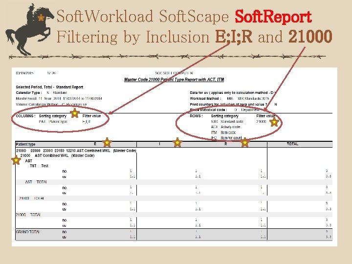 Soft. Workload Soft. Scape Soft. Report Filtering by Inclusion E; I; R and 21000