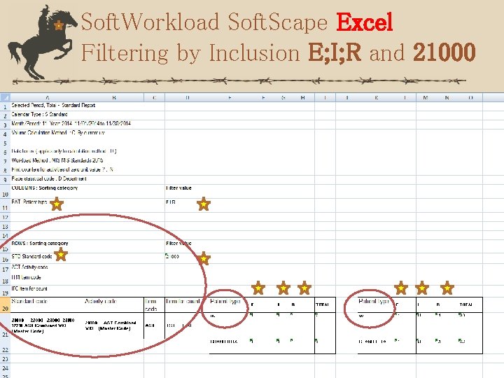 Soft. Workload Soft. Scape Excel Filtering by Inclusion E; I; R and 21000 