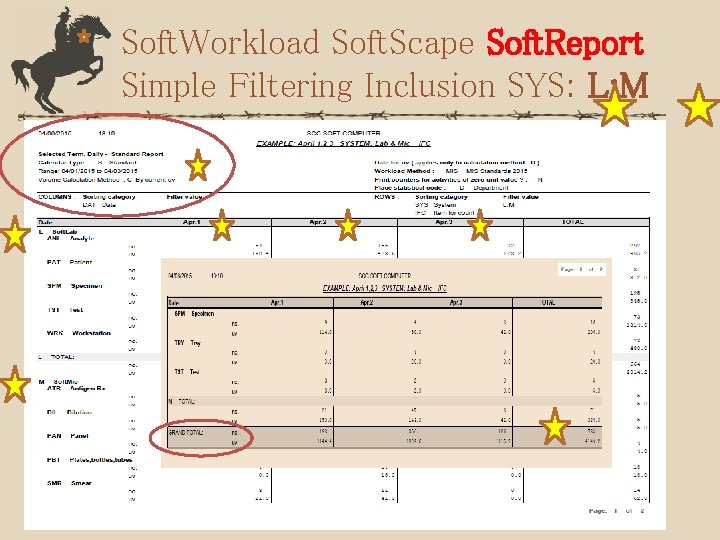 Soft. Workload Soft. Scape Soft. Report Simple Filtering Inclusion SYS: L; M 