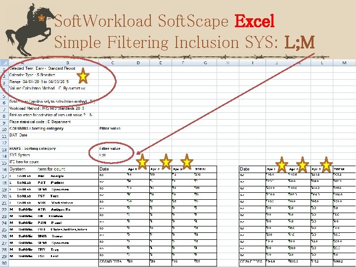 Soft. Workload Soft. Scape Excel Simple Filtering Inclusion SYS: L; M 