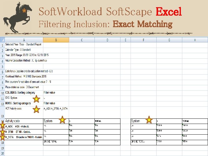 Soft. Workload Soft. Scape Excel Filtering Inclusion: Exact Matching 