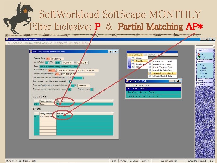 Soft. Workload Soft. Scape MONTHLY Filter Inclusive: P & Partial Matching AP* 