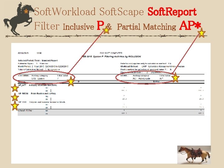Soft. Workload Soft. Scape Soft. Report Filter Inclusive P & Partial Matching AP* 