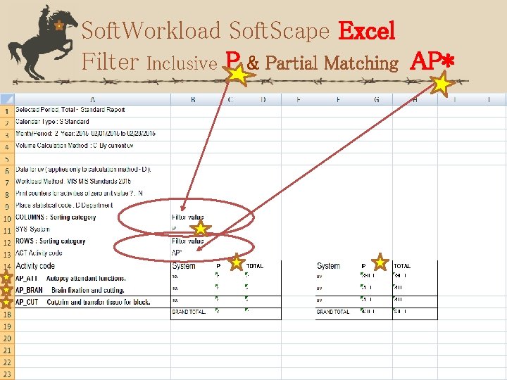 Soft. Workload Soft. Scape Excel Filter Inclusive P & Partial Matching AP* 