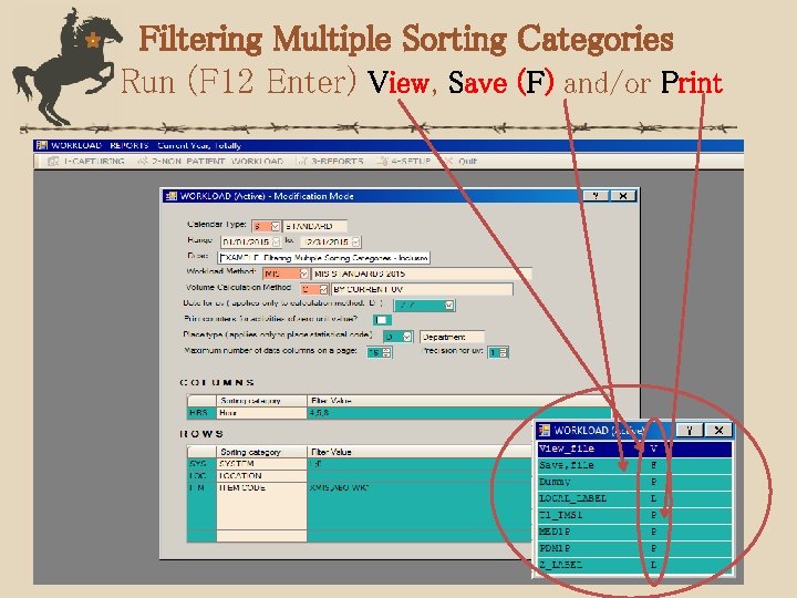 Filtering Multiple Sorting Categories Run (F 12 Enter) View, Save (F) and/or Print 