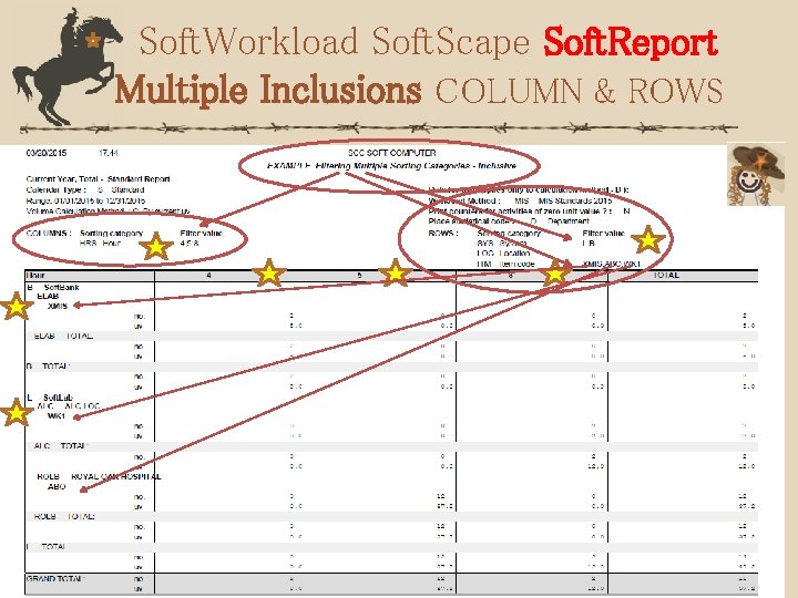 Soft. Workload Soft. Scape Soft. Report Multiple Inclusions COLUMN & ROWS 