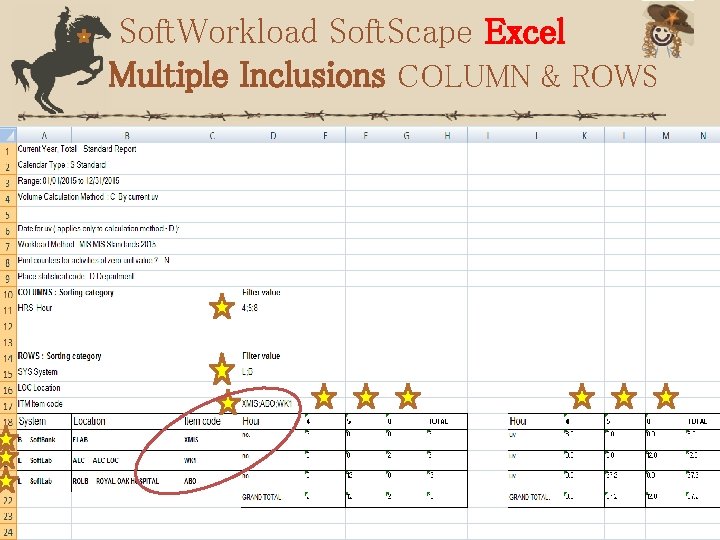 Soft. Workload Soft. Scape Excel Multiple Inclusions COLUMN & ROWS 