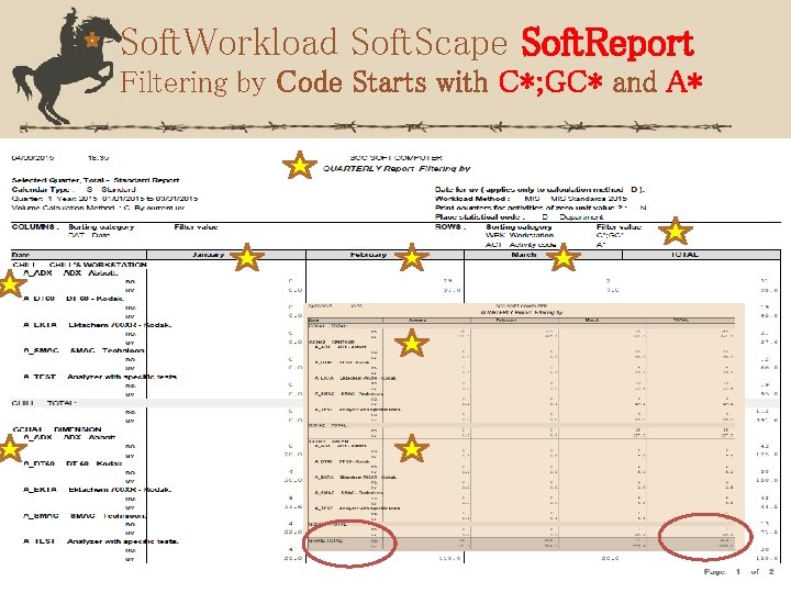 Soft. Workload Soft. Scape Soft. Report Filtering by Code Starts with C*; GC* and