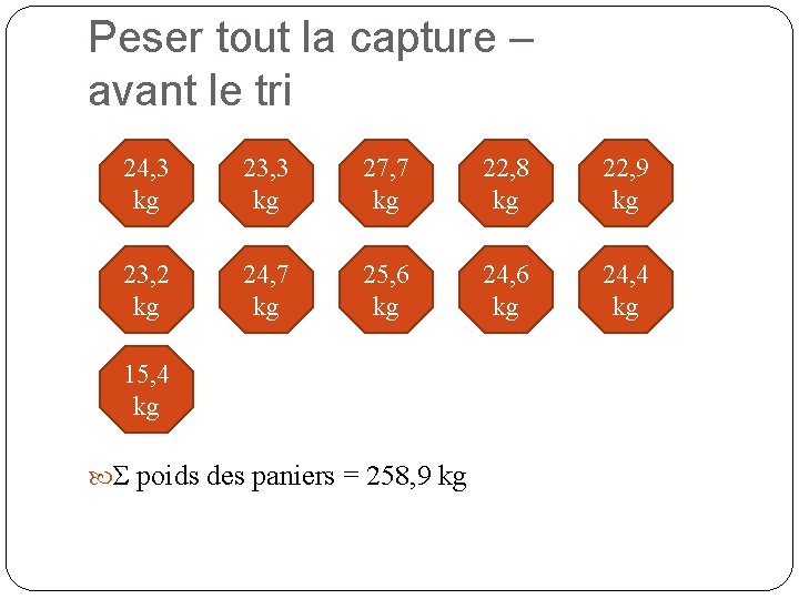 Peser tout la capture – avant le tri 24, 3 kg 23, 3 kg