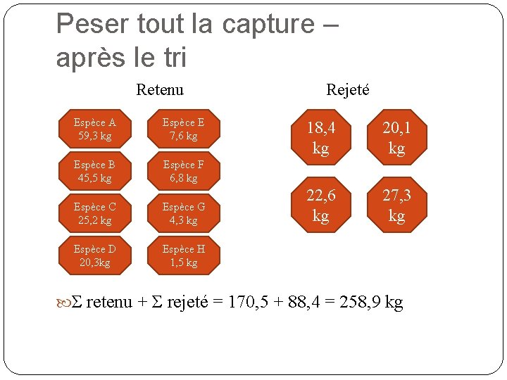 Peser tout la capture – après le tri Retenu Espèce A 59, 3 kg