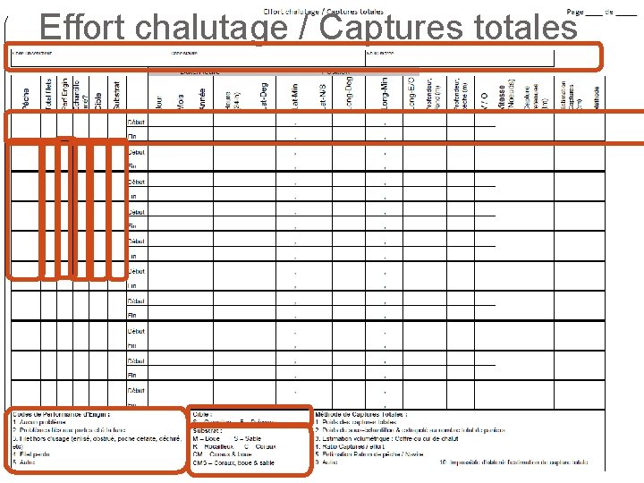 Effort chalutage / Captures totales 