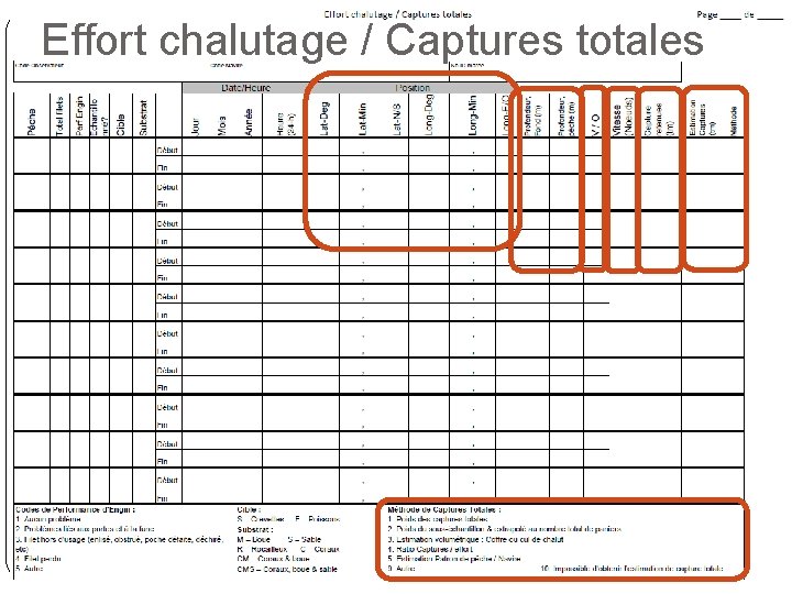 Effort chalutage / Captures totales 