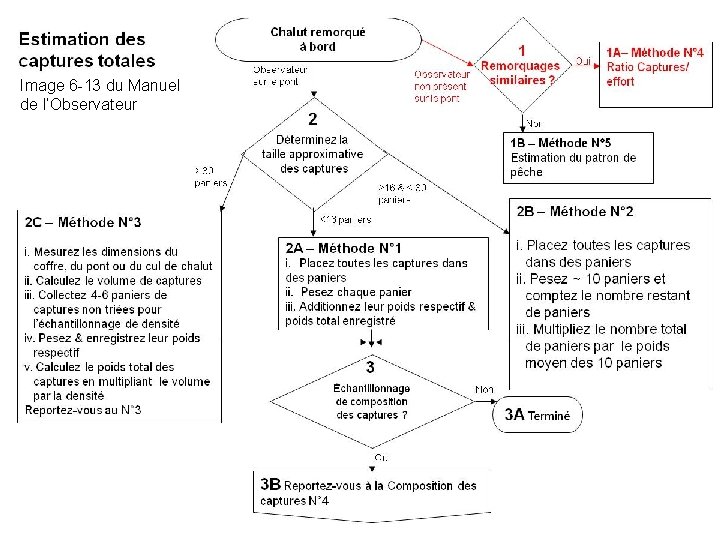 Image 6 -13 du Manuel de l’Observateur 