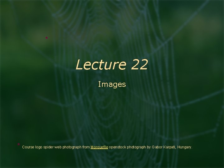 * Lecture 22 Images * Course logo spider web photograph from Morguefile openstock photograph