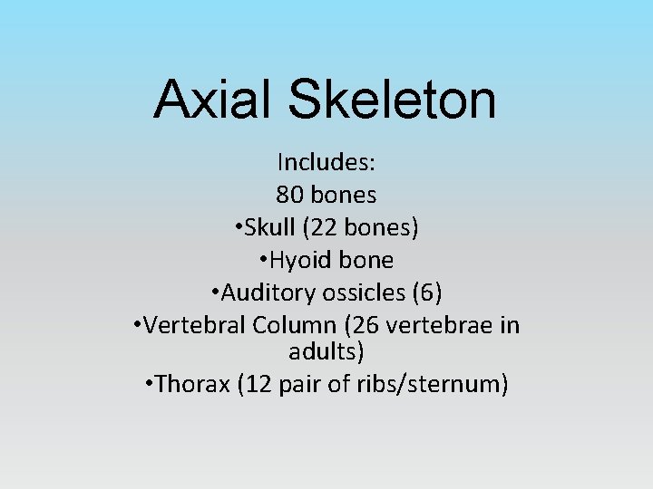 Axial Skeleton Includes: 80 bones • Skull (22 bones) • Hyoid bone • Auditory