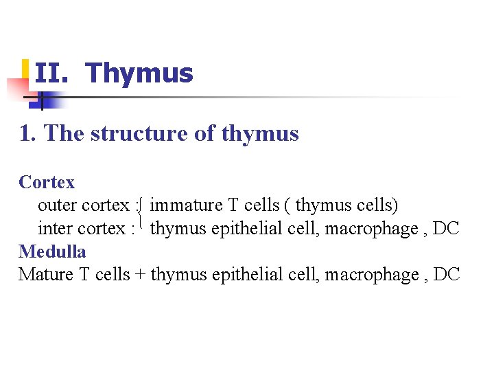 II. Thymus 1. The structure of thymus Cortex outer cortex : immature T cells