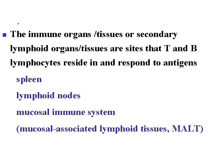 n The immune organs /tissues or secondary lymphoid organs/tissues are sites that T and