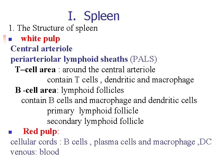 I. Spleen 1. The Structure of spleen n white pulp Central arteriole periarteriolar lymphoid