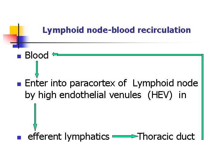 Lymphoid node-blood recirculation n Blood Enter into paracortex of Lymphoid node by high endothelial