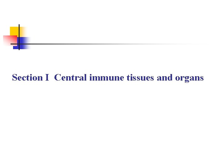 Section I Central immune tissues and organs 