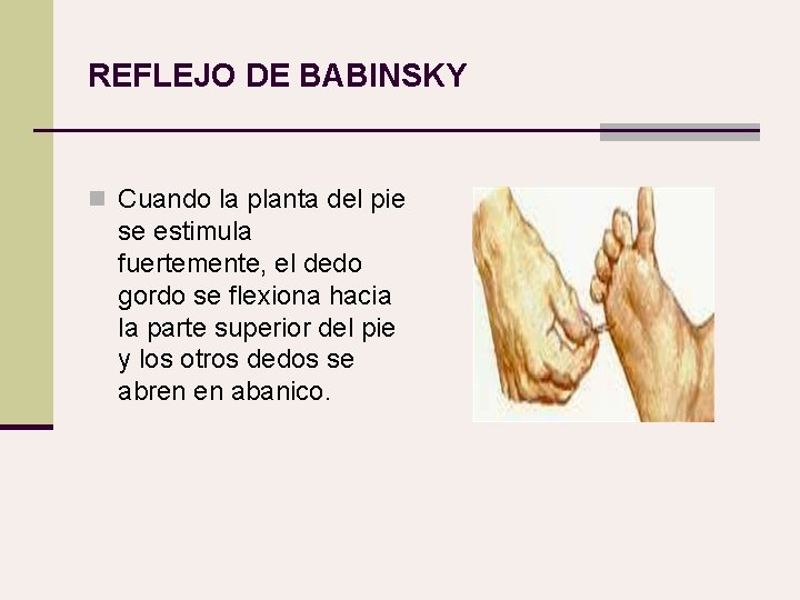 REFLEJO DE BABINSKY n Cuando la planta del pie se estimula fuertemente, el dedo