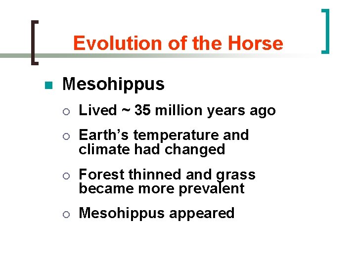 Evolution of the Horse n Mesohippus ¡ Lived ~ 35 million years ago ¡