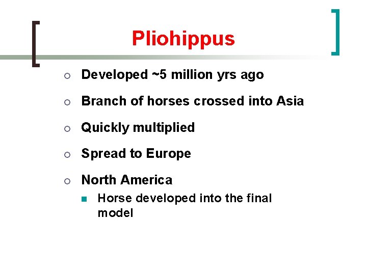 Pliohippus ¡ Developed ~5 million yrs ago ¡ Branch of horses crossed into Asia
