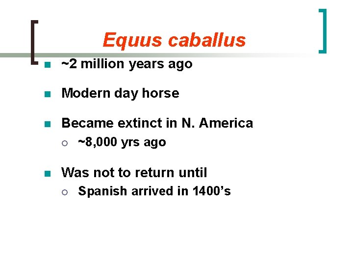 Equus caballus n ~2 million years ago n Modern day horse n Became extinct