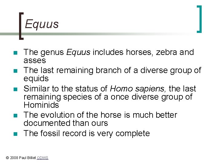 Equus n n n The genus Equus includes horses, zebra and asses The last