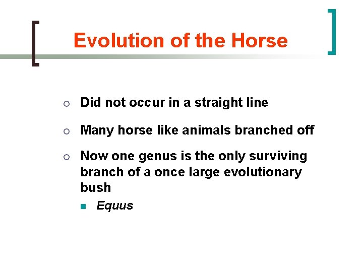 Evolution of the Horse ¡ Did not occur in a straight line ¡ Many