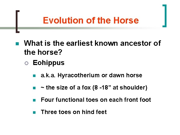 Evolution of the Horse n What is the earliest known ancestor of the horse?