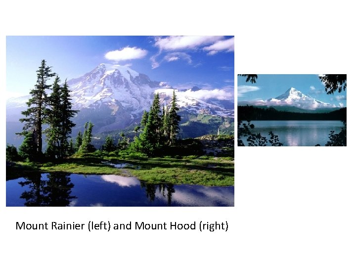 Mount Rainier (left) and Mount Hood (right) 