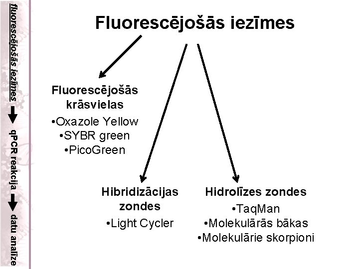 fluorescējošās iezīmes Fluorescējošās iezīmes q. PCR reakcija Fluorescējošās krāsvielas • Oxazole Yellow • SYBR