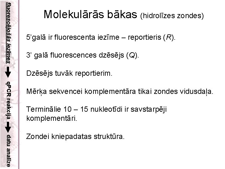 fluorescējošās iezīmes Molekulārās bākas (hidrolīzes zondes) 5’galā ir fluorescenta iezīme – reportieris (R). 3’