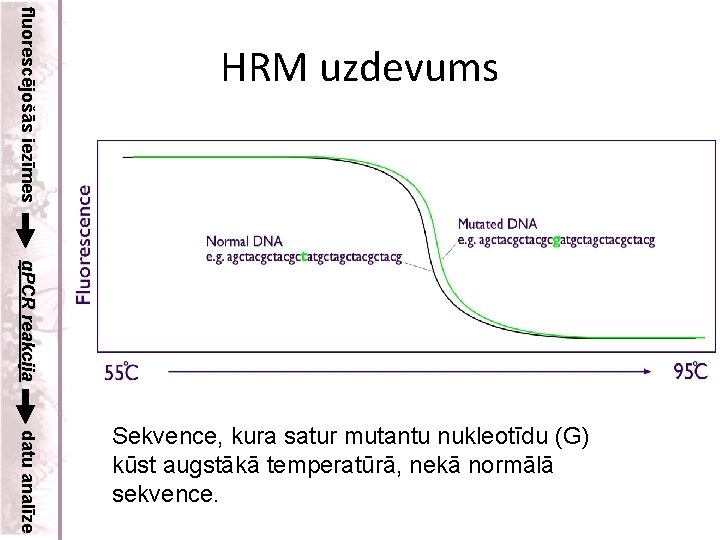 fluorescējošās iezīmes HRM uzdevums q. PCR reakcija datu analīze Sekvence, kura satur mutantu nukleotīdu