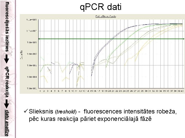 fluorescējošās iezīmes q. PCR dati q. PCR reakcija datu analīze ü Slieksnis (treshold) -