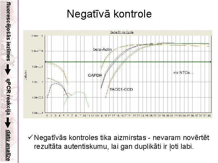 fluorescējošās iezīmes Negatīvā kontrole q. PCR reakcija datu analīze ü Negatīvās kontroles tika aizmirstas