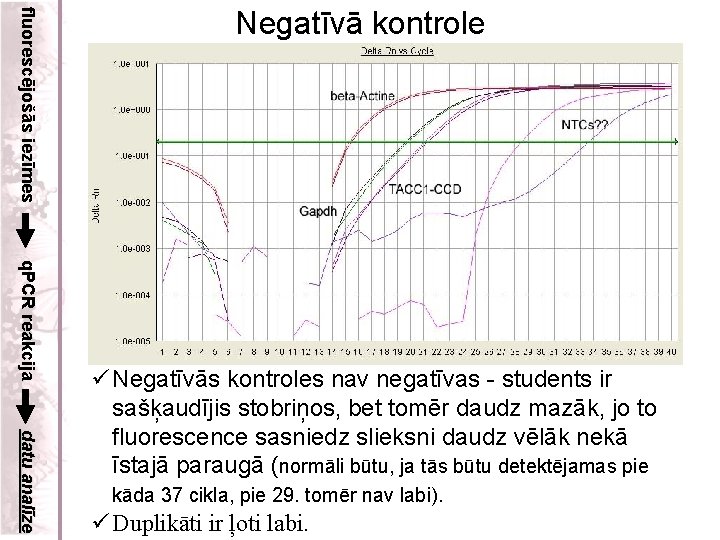 fluorescējošās iezīmes Negatīvā kontrole q. PCR reakcija datu analīze ü Negatīvās kontroles nav negatīvas