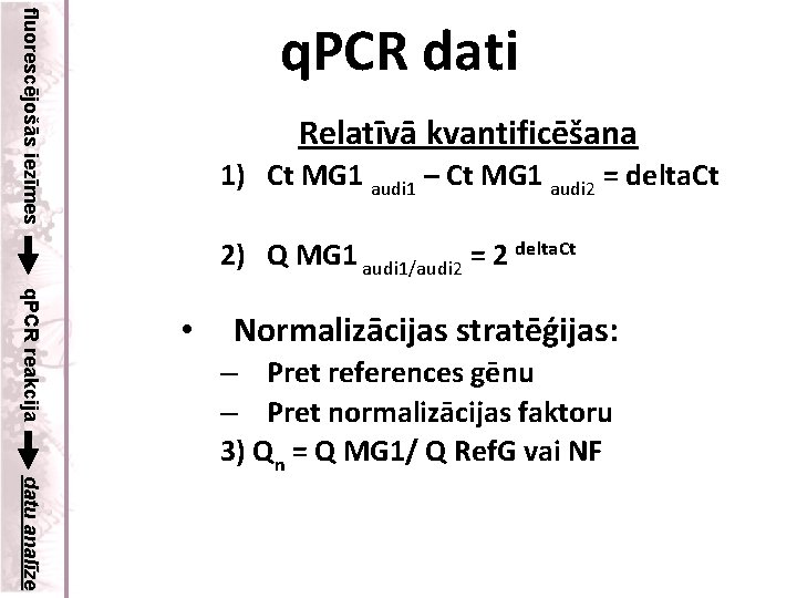 fluorescējošās iezīmes q. PCR dati Relatīvā kvantificēšana 1) Ct MG 1 audi 1 –