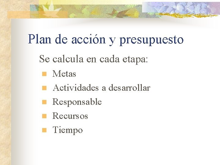 Plan de acción y presupuesto Se calcula en cada etapa: n n n Metas