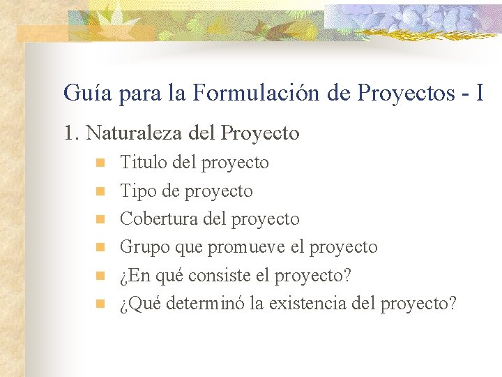 Guía para la Formulación de Proyectos - I 1. Naturaleza del Proyecto n n