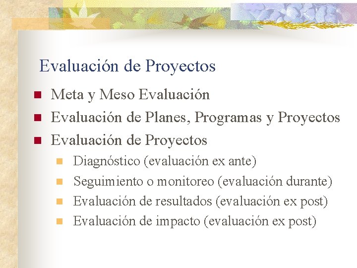 Evaluación de Proyectos n n n Meta y Meso Evaluación de Planes, Programas y