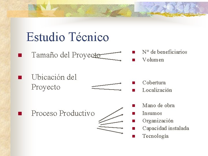 Estudio Técnico n Tamaño del Proyecto n Ubicación del Proyecto n n n Proceso