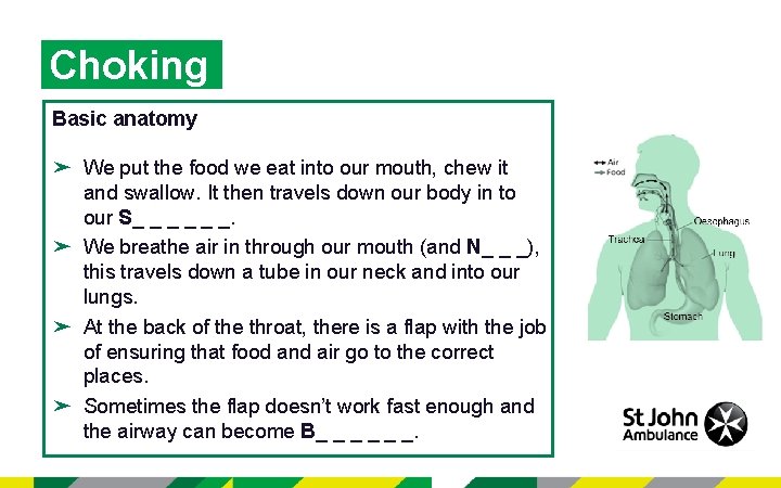 Choking Basic anatomy ➤ We put the food we eat into our mouth, chew