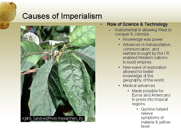 Causes of Imperialism • Role of Science & Technology • Instrumental in allowing West